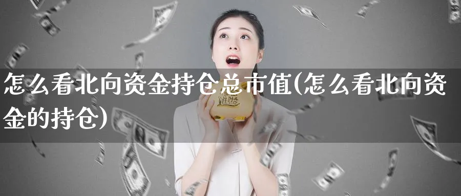 怎么看北向资金持仓总市值(怎么看北向资金的持仓)_https://www.ercigouzaozhubeng.com_理财技巧_第1张