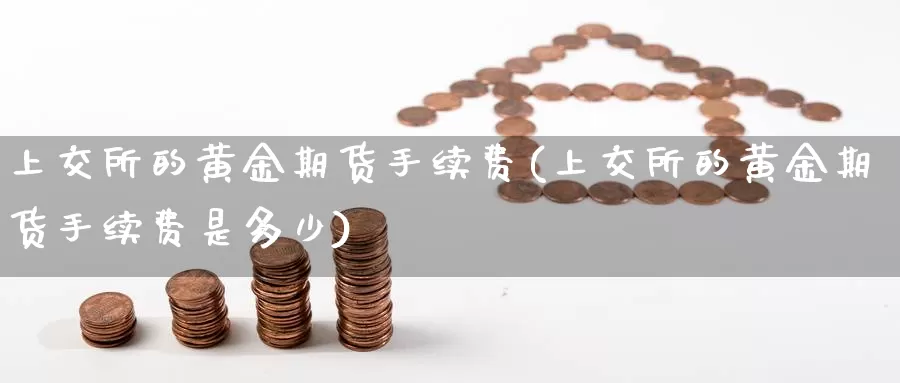 上交所的黄金期货手续费(上交所的黄金期货手续费是多少)_https://www.ercigouzaozhubeng.com_期货百科_第1张