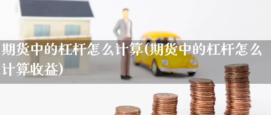 期货中的杠杆怎么计算(期货中的杠杆怎么计算收益)_https://www.ercigouzaozhubeng.com_期货分析_第1张