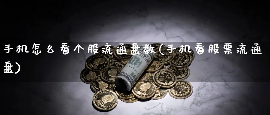 手机怎么看个股流通盘数(手机看股票流通盘)_https://www.ercigouzaozhubeng.com_理财技巧_第1张