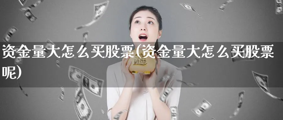 资金量大怎么买股票(资金量大怎么买股票呢)_https://www.ercigouzaozhubeng.com_理财技巧_第1张