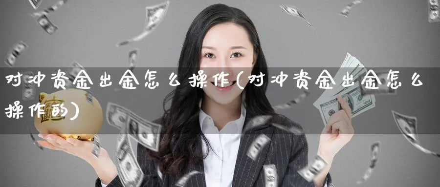 对冲资金出金怎么操作(对冲资金出金怎么操作的)_https://www.ercigouzaozhubeng.com_理财技巧_第1张