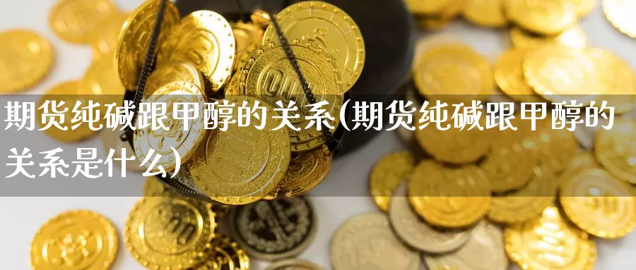 期货纯碱跟甲醇的关系(期货纯碱跟甲醇的关系是什么)_https://www.ercigouzaozhubeng.com_基金中心_第1张