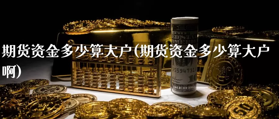 期货资金多少算大户(期货资金多少算大户啊)_https://www.ercigouzaozhubeng.com_大盘指标_第1张