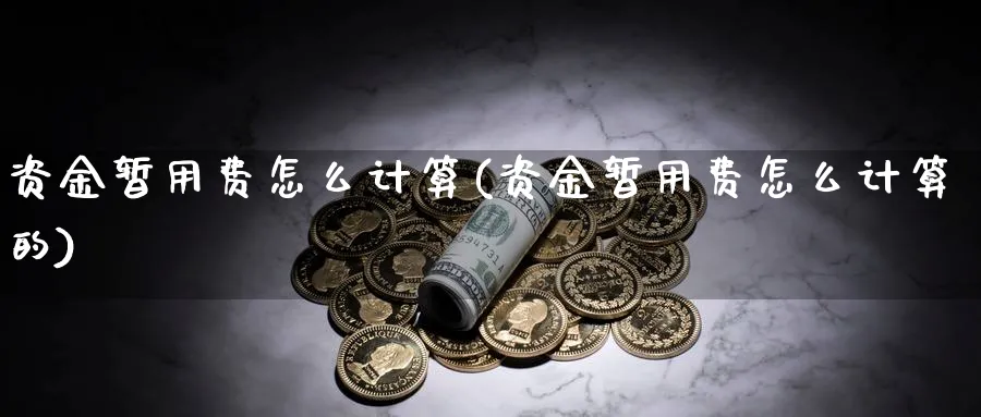 资金暂用费怎么计算(资金暂用费怎么计算的)_https://www.ercigouzaozhubeng.com_理财技巧_第1张