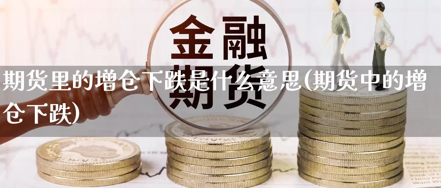 期货里的增仓下跌是什么意思(期货中的增仓下跌)_https://www.ercigouzaozhubeng.com_期货分析_第1张