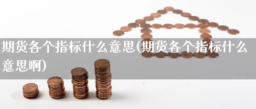 期货各个指标什么意思(期货各个指标什么意思啊)_https://www.ercigouzaozhubeng.com_理财中心_第1张