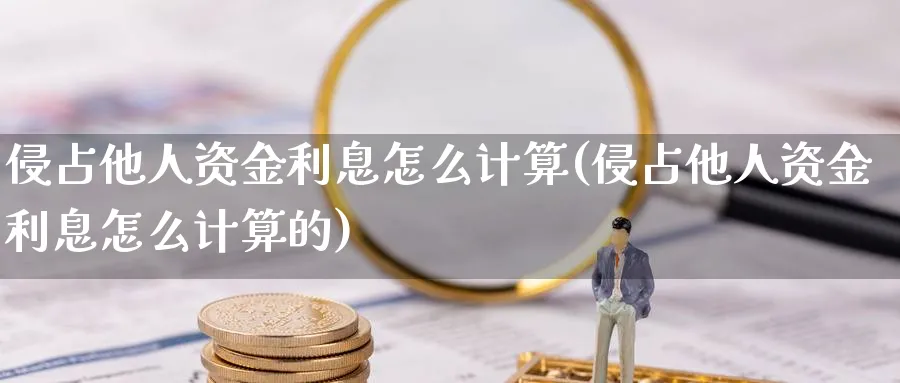 侵占他人资金利息怎么计算(侵占他人资金利息怎么计算的)_https://www.ercigouzaozhubeng.com_理财技巧_第1张