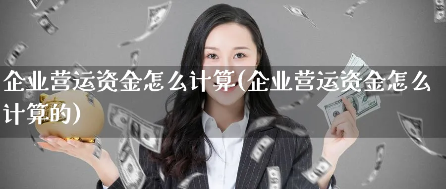 企业营运资金怎么计算(企业营运资金怎么计算的)_https://www.ercigouzaozhubeng.com_理财技巧_第1张