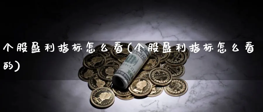 个股盈利指标怎么看(个股盈利指标怎么看的)_https://www.ercigouzaozhubeng.com_理财技巧_第1张