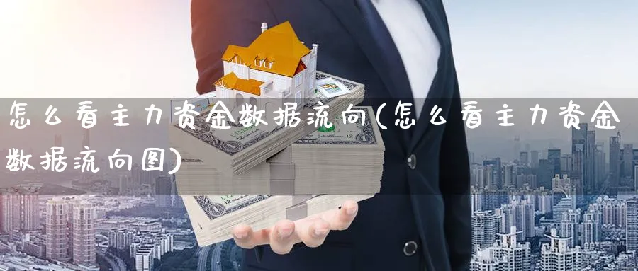 怎么看主力资金数据流向(怎么看主力资金数据流向图)_https://www.ercigouzaozhubeng.com_理财技巧_第1张