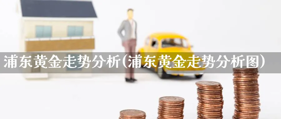 浦东黄金走势分析(浦东黄金走势分析图)_https://www.ercigouzaozhubeng.com_黄金_第1张