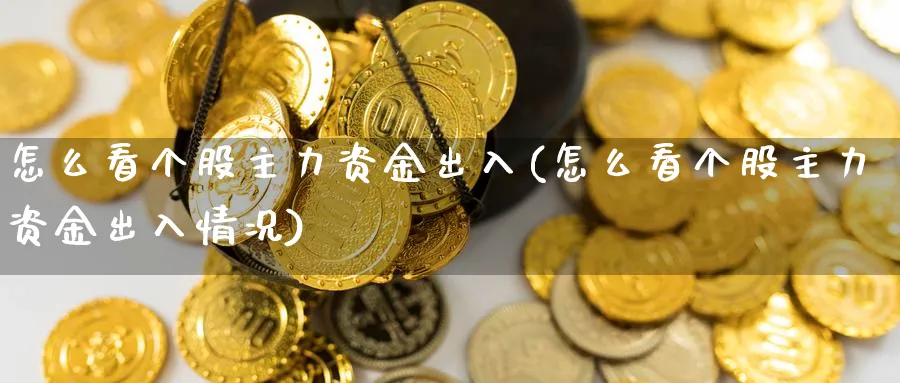 怎么看个股主力资金出入(怎么看个股主力资金出入情况)_https://www.ercigouzaozhubeng.com_理财技巧_第1张