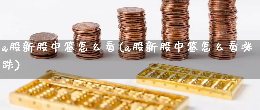 a股新股中签怎么看(a股新股中签怎么看涨跌)_https://www.ercigouzaozhubeng.com_A股走势_第1张