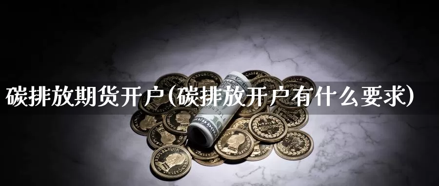 碳排放期货开户(碳排放开户有什么要求)_https://www.ercigouzaozhubeng.com_期货技术_第1张