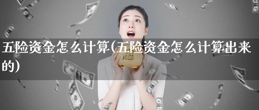 五险资金怎么计算(五险资金怎么计算出来的)_https://www.ercigouzaozhubeng.com_理财技巧_第1张