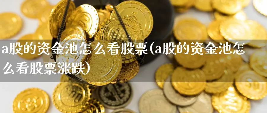 a股的资金池怎么看股票(a股的资金池怎么看股票涨跌)_https://www.ercigouzaozhubeng.com_A股市场_第1张