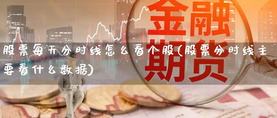 股票每天分时线怎么看个股(股票分时线主要看什么数据)_https://www.ercigouzaozhubeng.com_理财技巧_第1张