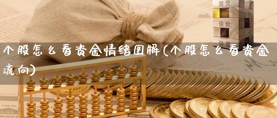 个股怎么看资金情绪图解(个股怎么看资金流向)_https://www.ercigouzaozhubeng.com_理财技巧_第1张