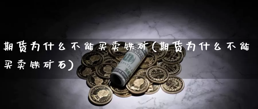 期货为什么不能买卖铁矿(期货为什么不能买卖铁矿石)_https://www.ercigouzaozhubeng.com_恒指期货_第1张