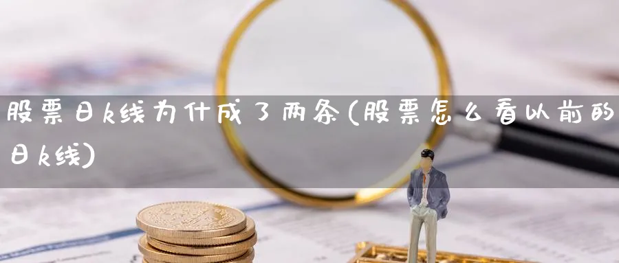 股票日k线为什成了两条(股票怎么看以前的日k线)_https://www.ercigouzaozhubeng.com_K线技巧_第1张