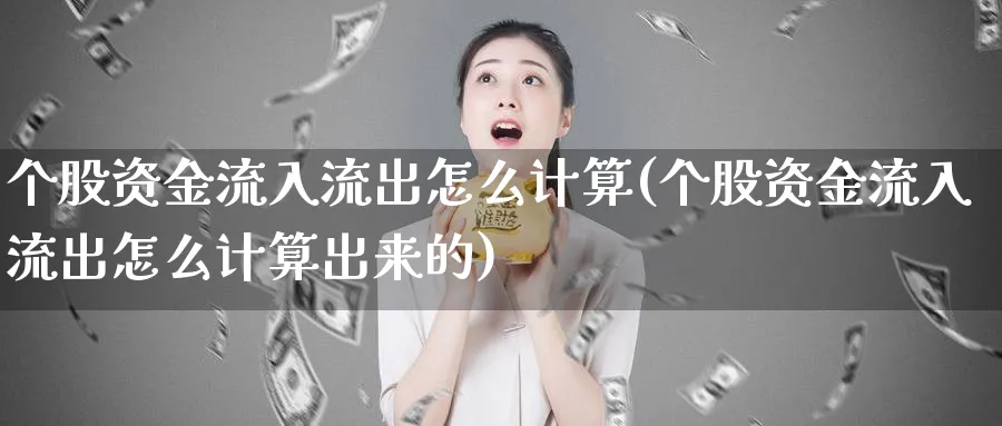 个股资金流入流出怎么计算(个股资金流入流出怎么计算出来的)_https://www.ercigouzaozhubeng.com_理财技巧_第1张