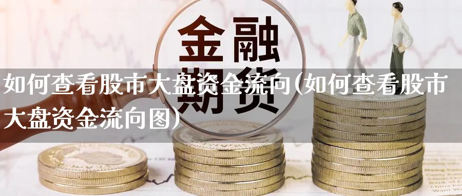 如何查看股市大盘资金流向(如何查看股市大盘资金流向图)_https://www.ercigouzaozhubeng.com_黄金_第1张