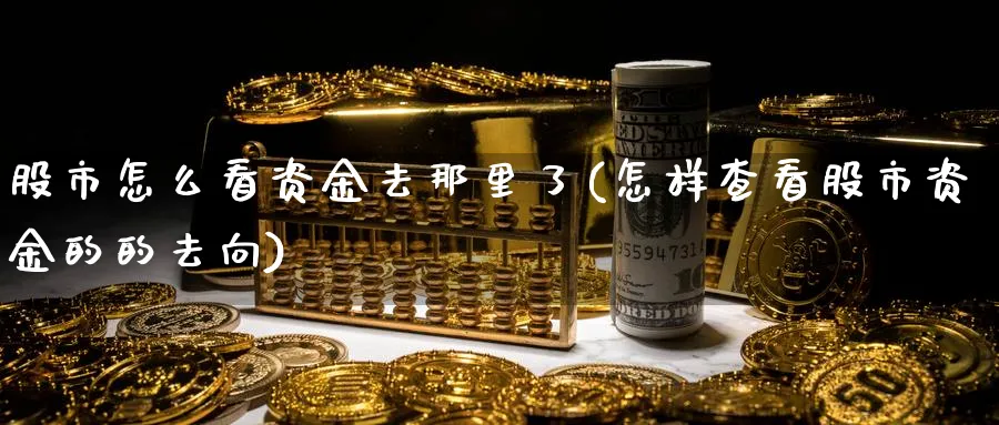 股市怎么看资金去那里了(怎样查看股市资金的的去向)_https://www.ercigouzaozhubeng.com_股市要闻_第1张