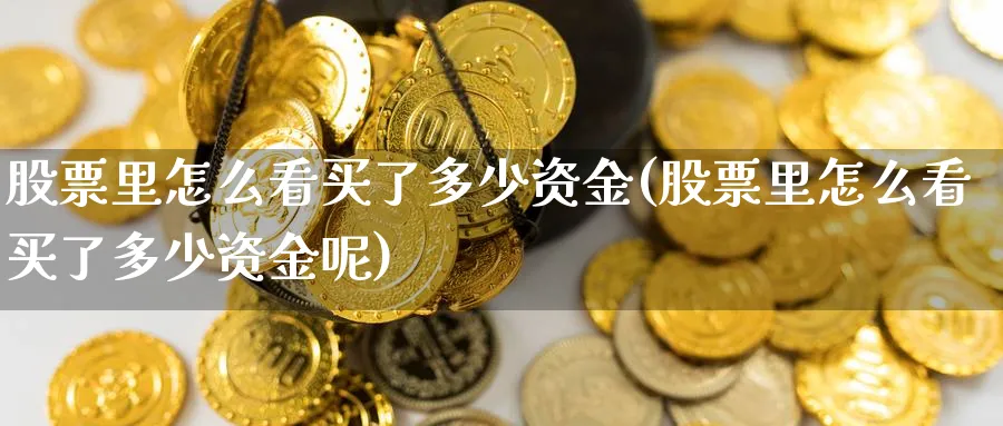 股票里怎么看买了多少资金(股票里怎么看买了多少资金呢)_https://www.ercigouzaozhubeng.com_理财技巧_第1张