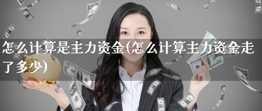 怎么计算是主力资金(怎么计算主力资金走了多少)_https://www.ercigouzaozhubeng.com_理财技巧_第1张