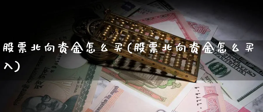 股票北向资金怎么买(股票北向资金怎么买入)_https://www.ercigouzaozhubeng.com_理财技巧_第1张