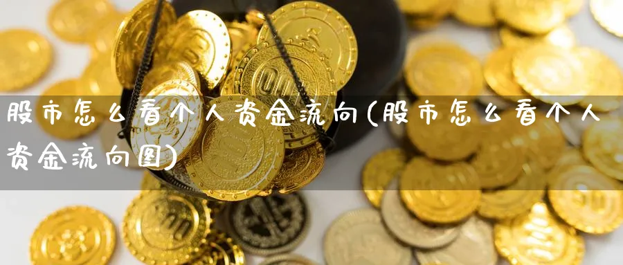 股市怎么看个人资金流向(股市怎么看个人资金流向图)_https://www.ercigouzaozhubeng.com_理财技巧_第1张