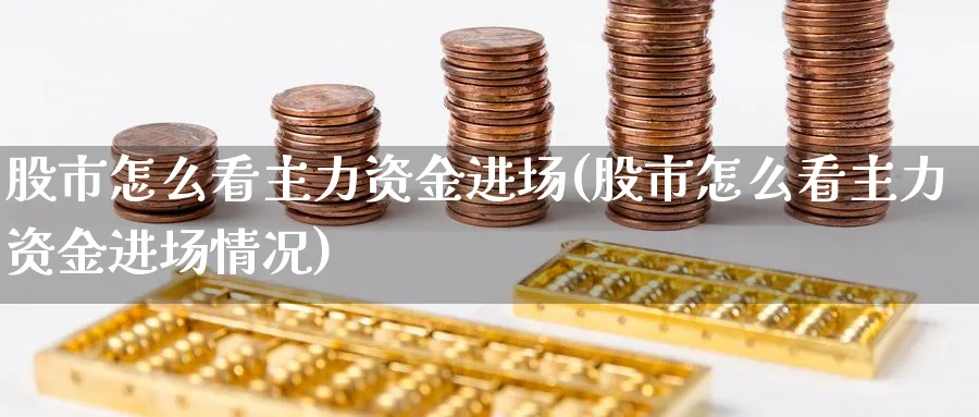 股市怎么看主力资金进场(股市怎么看主力资金进场情况)_https://www.ercigouzaozhubeng.com_股市要闻_第1张