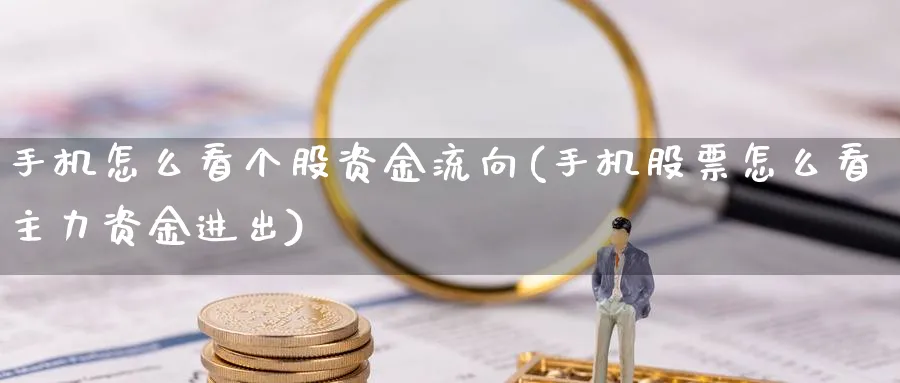 手机怎么看个股资金流向(手机股票怎么看主力资金进出)_https://www.ercigouzaozhubeng.com_理财技巧_第1张