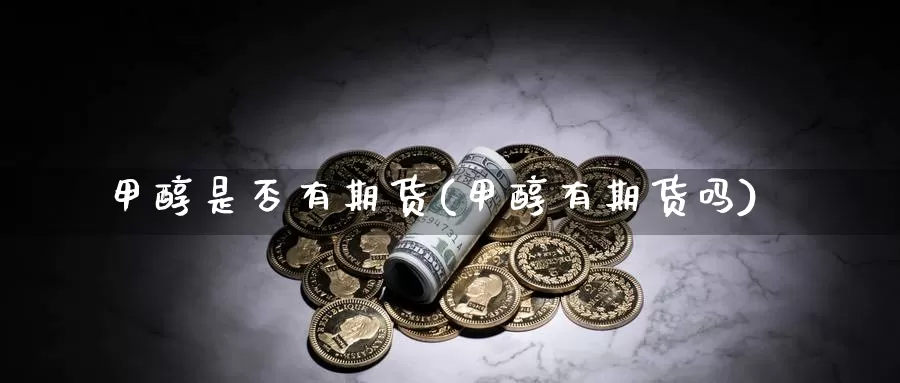 甲醇是否有期货(甲醇有期货吗)_https://www.ercigouzaozhubeng.com_大盘指标_第1张