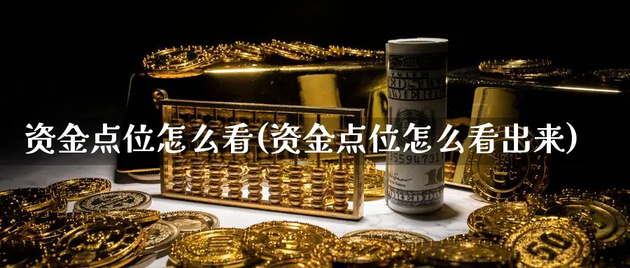 资金点位怎么看(资金点位怎么看出来)_https://www.ercigouzaozhubeng.com_理财技巧_第1张