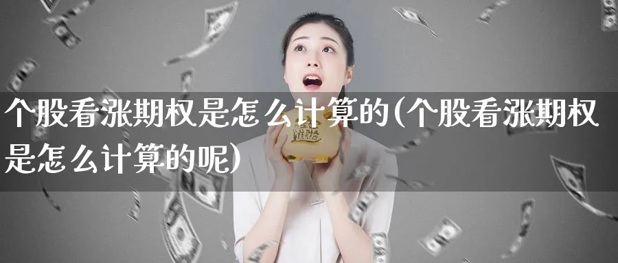 个股看涨期权是怎么计算的(个股看涨期权是怎么计算的呢)_https://www.ercigouzaozhubeng.com_理财技巧_第1张