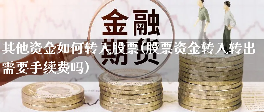 其他资金如何转入股票(股票资金转入转出需要手续费吗)_https://www.ercigouzaozhubeng.com_股票市场_第1张