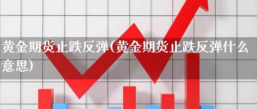 黄金期货止跌反弹(黄金期货止跌反弹什么意思)_https://www.ercigouzaozhubeng.com_期货直播_第1张