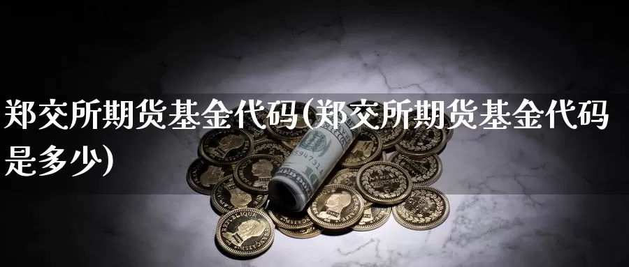 郑交所期货基金代码(郑交所期货基金代码是多少)_https://www.ercigouzaozhubeng.com_黄金资讯_第1张