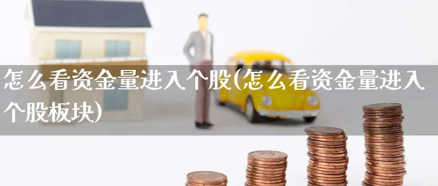 怎么看资金量进入个股(怎么看资金量进入个股板块)_https://www.ercigouzaozhubeng.com_理财技巧_第1张