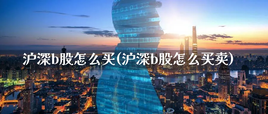 沪深b股怎么买(沪深b股怎么买卖)_https://www.ercigouzaozhubeng.com_理财技巧_第1张