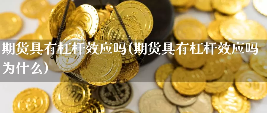 期货具有杠杆效应吗(期货具有杠杆效应吗为什么)_https://www.ercigouzaozhubeng.com_基金中心_第1张