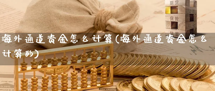 海外通道资金怎么计算(海外通道资金怎么计算的)_https://www.ercigouzaozhubeng.com_理财技巧_第1张