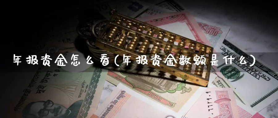 年报资金怎么看(年报资金数额是什么)_https://www.ercigouzaozhubeng.com_理财技巧_第1张