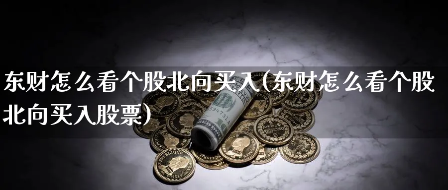 东财怎么看个股北向买入(东财怎么看个股北向买入股票)_https://www.ercigouzaozhubeng.com_理财技巧_第1张