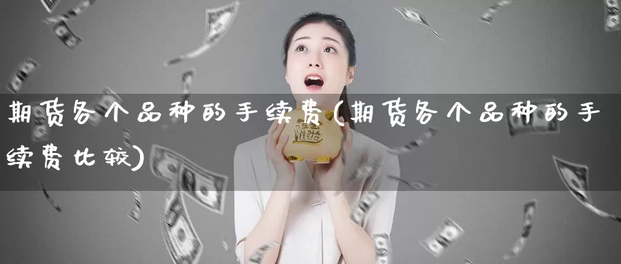 期货各个品种的手续费(期货各个品种的手续费比较)_https://www.ercigouzaozhubeng.com_纳指期货_第1张