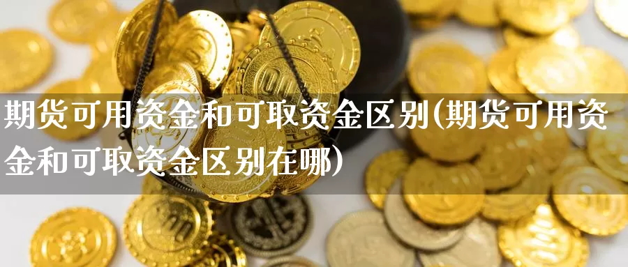 期货可用资金和可取资金区别(期货可用资金和可取资金区别在哪)_https://www.ercigouzaozhubeng.com_恒指期货_第1张