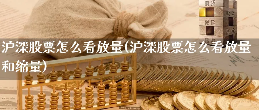 沪深股票怎么看放量(沪深股票怎么看放量和缩量)_https://www.ercigouzaozhubeng.com_理财技巧_第1张