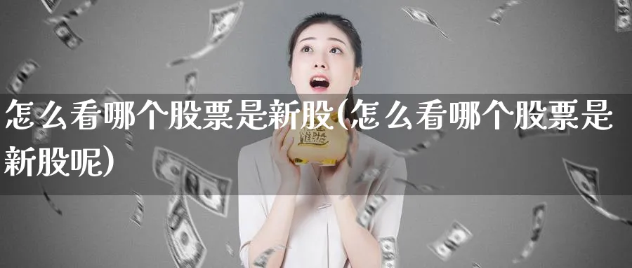 怎么看哪个股票是新股(怎么看哪个股票是新股呢)_https://www.ercigouzaozhubeng.com_理财技巧_第1张